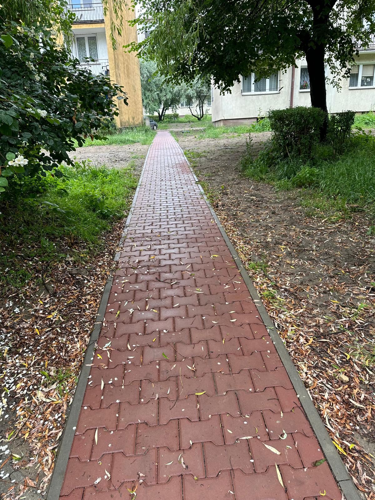 Maczkowska SW 1